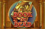 Игровой автомат Book of Dead